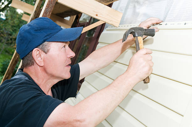 Best Aluminum Siding Installation  in College, AK